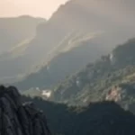 Federación Ambientalista Internacional: Misión, Objetivos y Logros