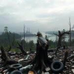 Causas del daño ambiental: análisis de factores y su impacto en el ecosistema