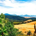 Clasificación de los climas según Köppen: guía para entender los tipos y sus características