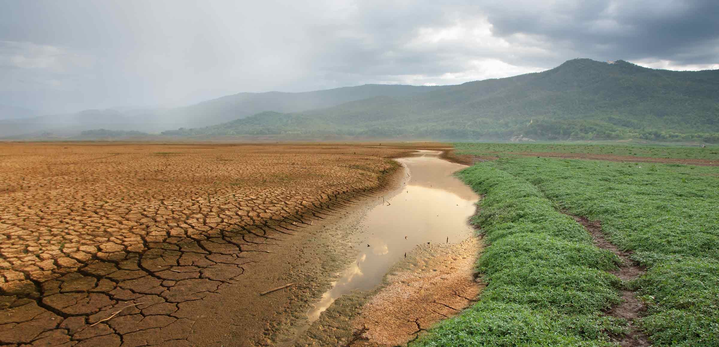 ¿Cómo nos afecta el cambio climático en nuestro país?