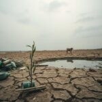Consecuencias de la contaminación del suelo y su impacto en la salud y el medio ambiente