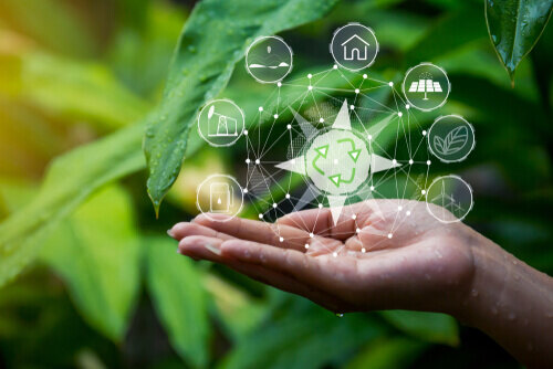 Cuáles son los 10 valores ambientales
