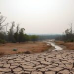 El cambio climático: el desafío ambiental más grave y su impacto en el planeta