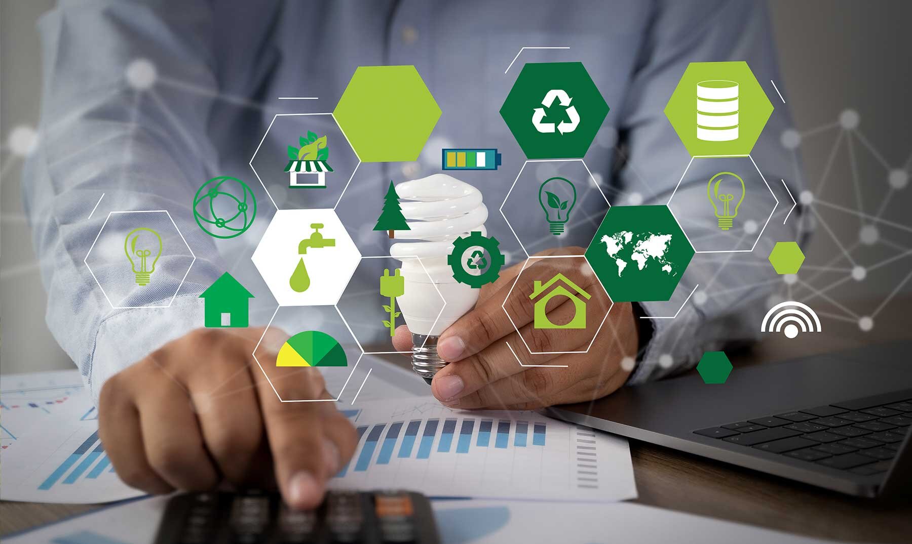 Emprendimientos sostenibles en el mundo: innovación y rentabilidad