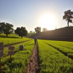 Estrategias clave para prevenir el deterioro del suelo y promover su conservación efectiva