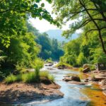 Impacto del cambio climático en los ecosistemas y estrategias para su protección efectiva