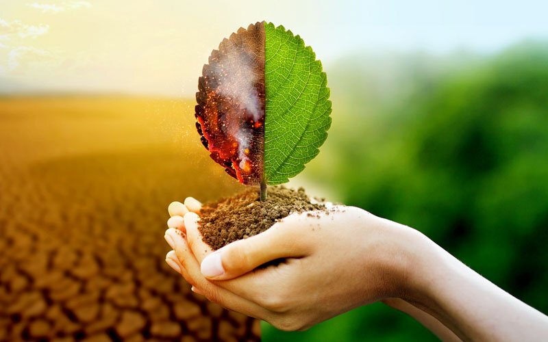 Impacto del Cambio Climático en el Medio Ambiente y la Sociedad