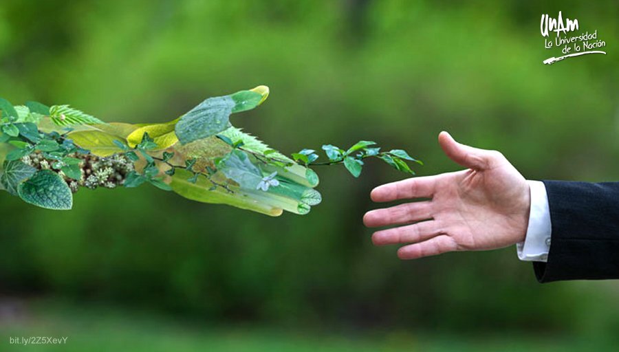 Medidas para Prevenir la Pérdida de Biodiversidad