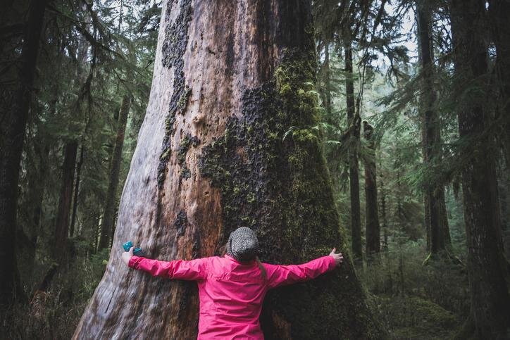 ¿Qué es ser una persona ecologista o ambientalista?